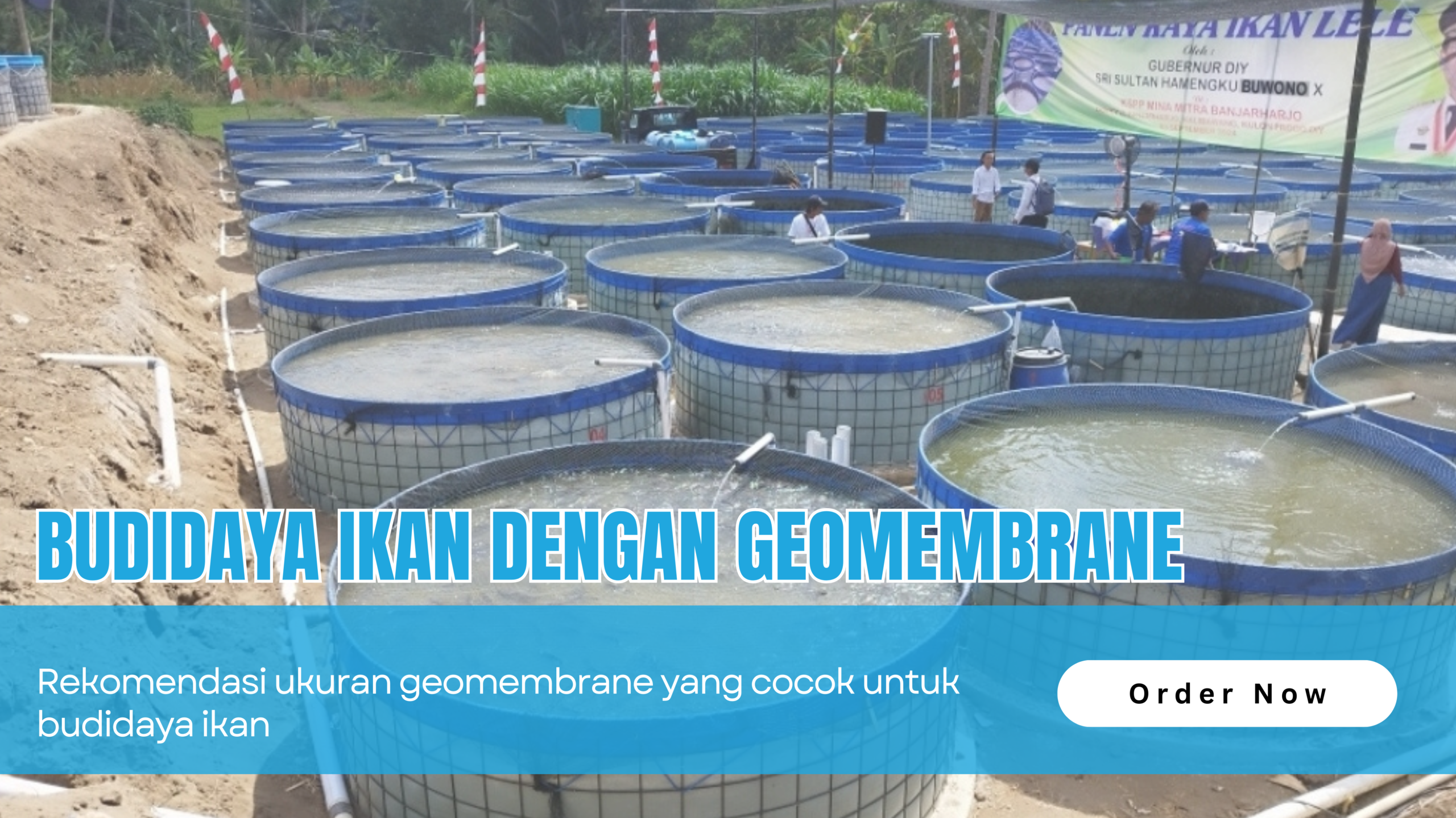 Rekomendasi Ukuran Geomembrane Untuk Tambak Ikan